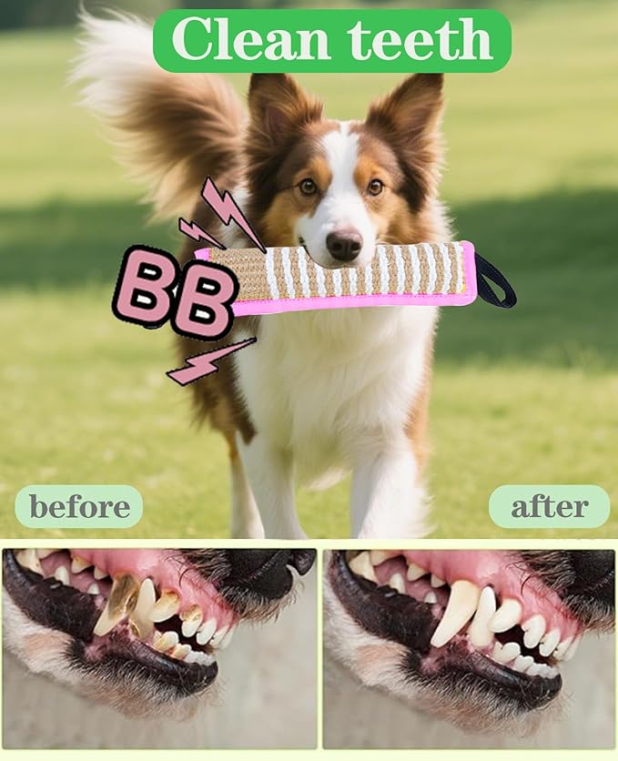 Clysoru Tug Toy for Dogs Squeaky Toy with 2 Strong Handles Lasting Training Equipment Puppy to Large Dog Interactive Toys of War Pull Indestructible Rope Pet Crinkle Teething (Pink)
