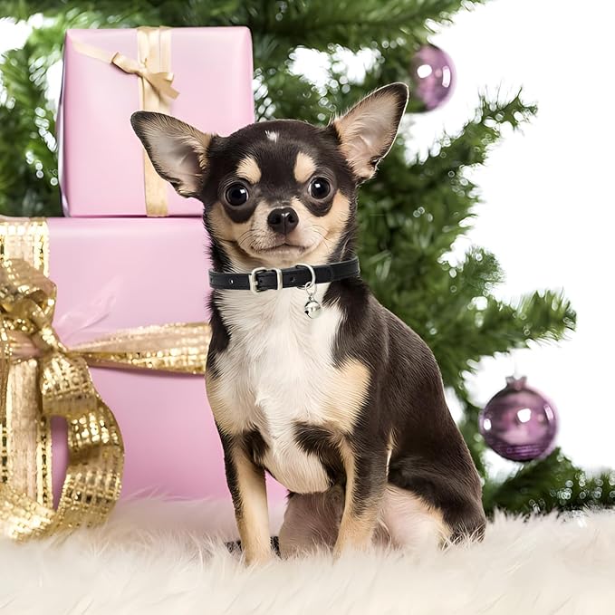 White XS Dog Collar with Bell, Soft Pu Leather Cat Collars Adjustable Buckle for XXS Extra Small Medium Tiny Female Male Boys Girls Pets Puppy Kitten Teacup Yorkie X-Small