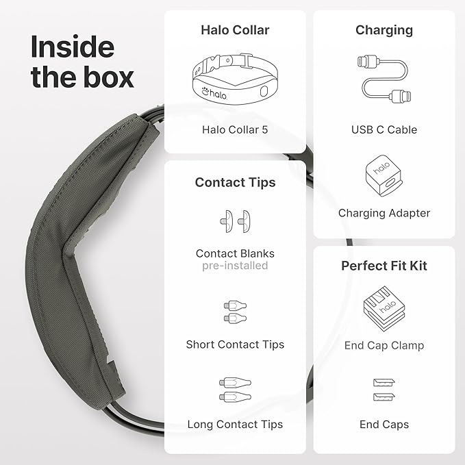 Halo Collar 5, New Wireless Dog Fence & GPS Dog Collar, Subscription Required, Waterproof, Sunburst, One Size