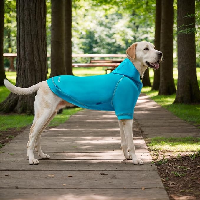 Basic Dog Hoodie Sweatshirts, Pet Clothes Hoodies Sweater with Hat and Leash Hole, Soft Cotton Outfit Coat for Small Medium Large Dogs, Royal Blue (Medium)
