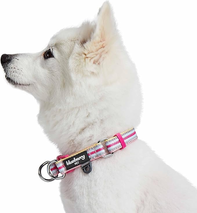 Blueberry Pet Safety Dog Collar with Dual D-Rings | 3M Reflective Multi-Colored Adjustable Collar in Pink and Pastel Blue | Soft Nylon Dog Collar for Active Large Dogs