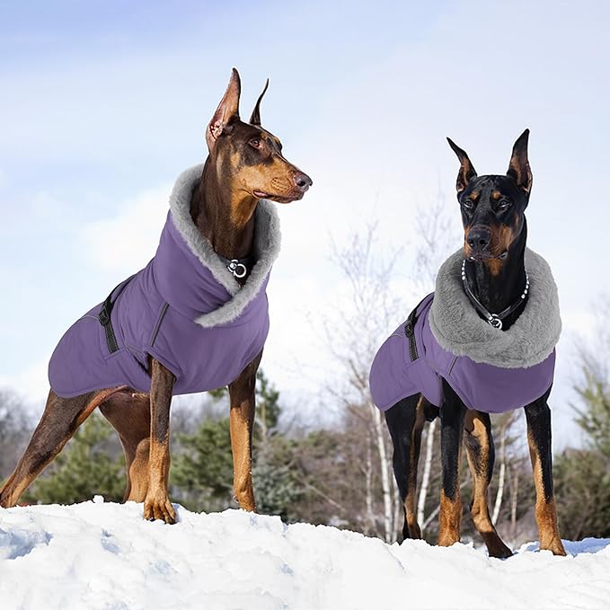 Dog Coat, Waterproof Dog Winter Jacket with Adjustable Buckle, Reflective Turtleneck Pet Snow Vest Warm Fleece Sweater for Small Medium Large Dogs - Purple, M