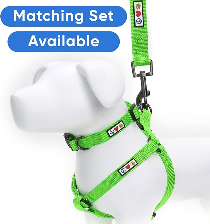 Pawtitas Personalized Dog Leash - Embroidered Custom Leash with Pet Name & Phone Number, 6 ft Long, Small, Lush Green