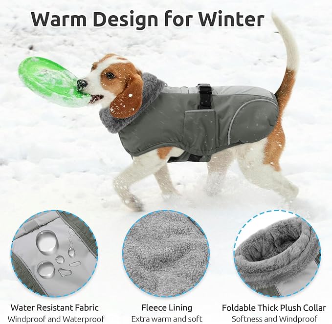 Queenmore Winter Dog Jacket - Warm Reflective, Waterproof Coat for Small Dogs, Grey, S