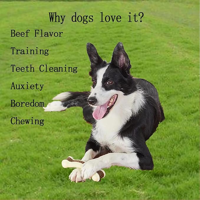 Dog Bones Chew Toys for Aggressive Chewers, 4 Pack Real Beef Flavor,Indestructible Dog Teething Chew Toys for Large/Medium/Small Puppies Breed,Tough Pet Toy with Nylon