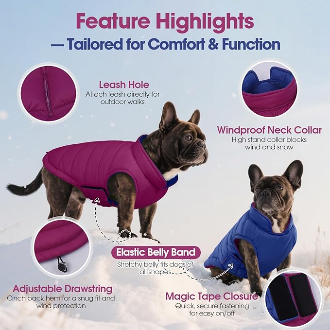 QBLEEV Reversible Dog Coat for Small Dogs, Waterproof Windproof Winter Jacket Keeps Small Breeds Warm & Dry, Lightweight Adjustable Puffer Vest with Leash Hole, Purple, XS – Fits Chihuahua, Yorkie