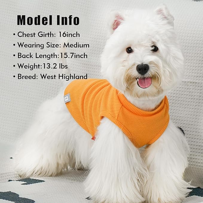 KYEESE 2Pack Waffle Dog Shirts for Small Dogs Stretchy T-Shirts Lightweight Tank Top Sleeveless Striped Shirt Vest Breathable Cat Shirt, Small, Orange+Striped