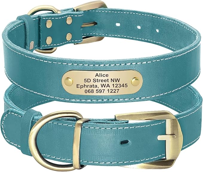 Didog Genuine Leather Dog Collars with Engraved Nameplate, Personalized Soft Leather Dog Collar with Custom ID Tag, Brown/Green/Red for Medium Large Dogs (XXL,Blue)