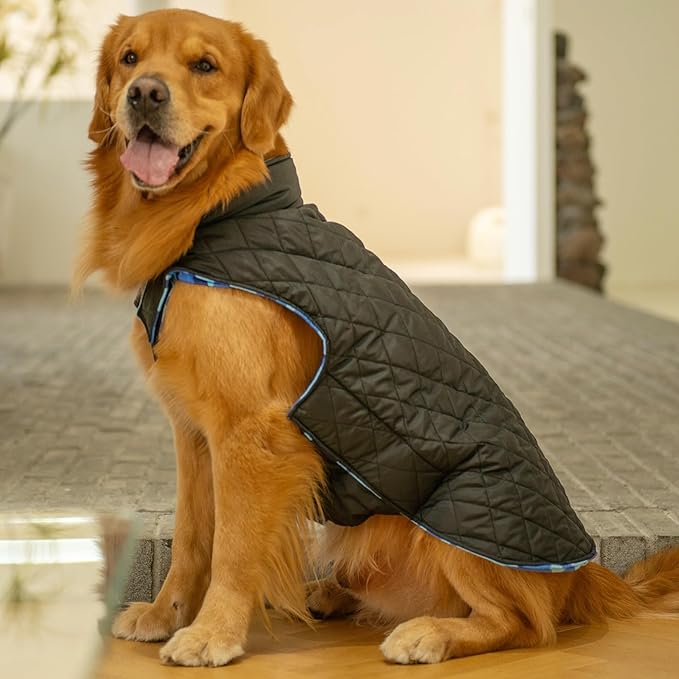 CuteBone Reversible Dog Jacket - Windproof & Waterproof, Thick & Soft Winter Coat for Small to Large Dogs, Vest with Leash Hole