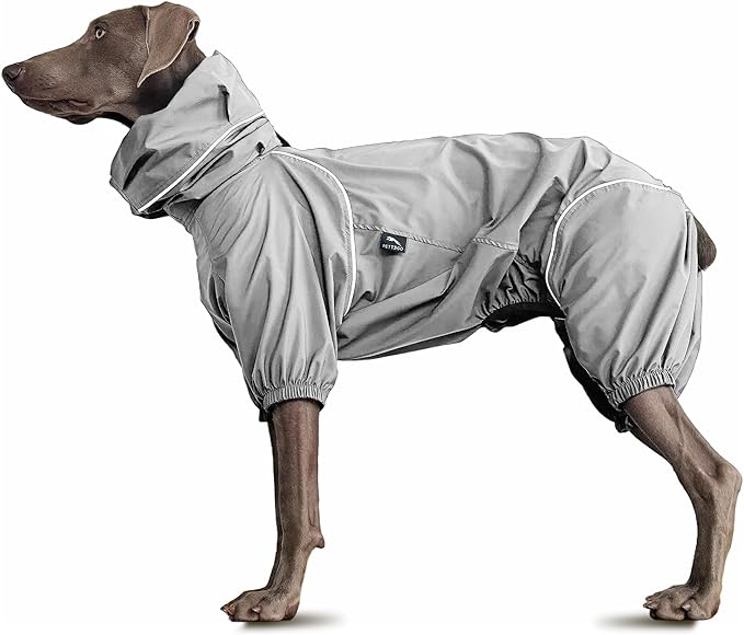 Dog Lightweight Windbreaker, Pet Outdoor Sports Jacket, 0.5 lbs,3 in One, Hooded, Easy on/Off with Collar and Harness, Reflective Piping, Packable, Dog Hiking/Camping, Grey (X-Large)