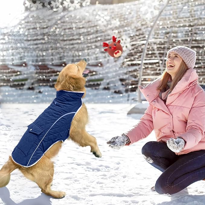 Malier Dog Winter Coat, Windproof Dog Cold Weather Coats with Real Pocket, Winter Extra Warm Pet Coat Fleece Jacket Reflective Clothes for Small Medium Large Dogs and Puppy (Blue, Large)