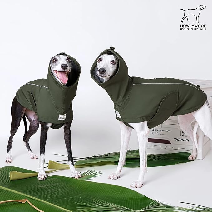 Waterproof Dog Raincoat, Hooded Raincoat for Dachshund Whippet Small Medium Large Dogs, Adjustable Dog Rain Coat Jacket (02 (Dachshund 10-16lbs))