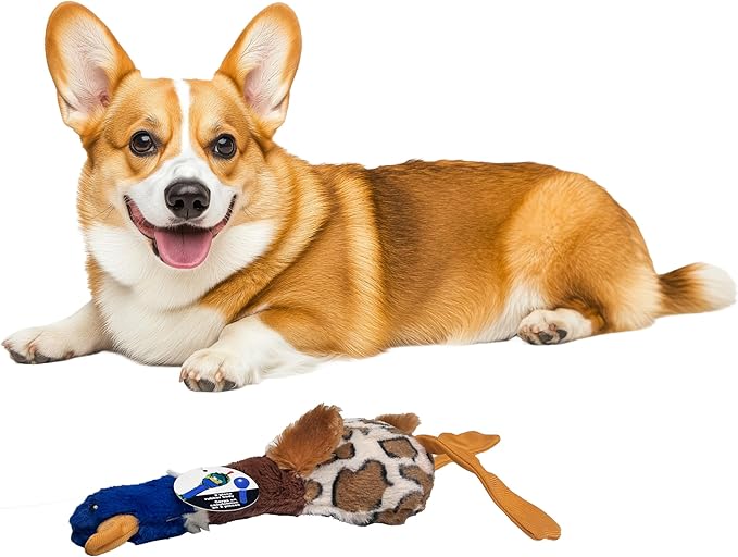 SPOT Skinneeez Plus Duck - Stuffing Free Dog Toy with Two Piece Rubber Body and Two Squeakers, Fun to Bite, Stuffingless Design is Great for Moderate Chewers, Tug Toy for Puppies & Dogs - 15in