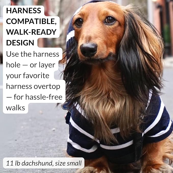 DJANGO Dog Hoodie – Warm, Lightweight, Soft & Stretchy Dog Sweater with Hood, Harness Hole & Elastic Waistband – Cozy Sweatshirt for Small Dogs up to 25 lbs, Dachshunds & Puppies – Navy Blue, Small