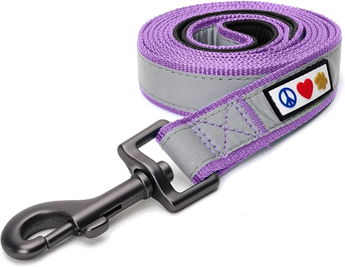 Pawtitas 6 FT Padded Dog Leash with Comfortable Neoprene Padding Handle - Purple Lead | Medium Reflective Dog Leash with Highly Reflective Band Perfect for Medium and Large Dogs and Puppies.