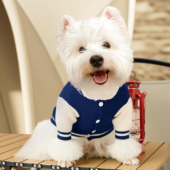 Small Dog Sweater Sweatshirt Cute Blue Puppy Sweaters - Winter Warm Knitted Bear Design for Small Puppies (S)