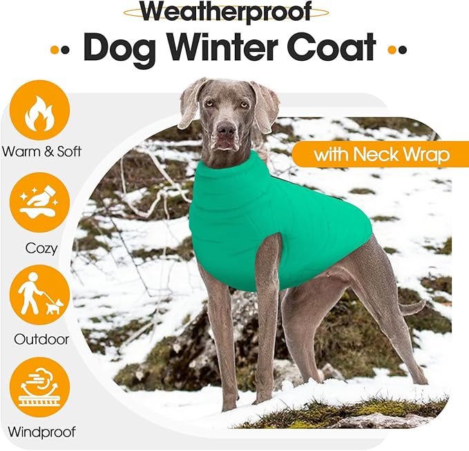 Medium Dog Jacket with Zipper, Dog Winter Coats for Medium Dogs, Warm Waterproof Snow Puffer Vest for French Bulldog, Boston Terrier, Cocker, Beagle, Green M