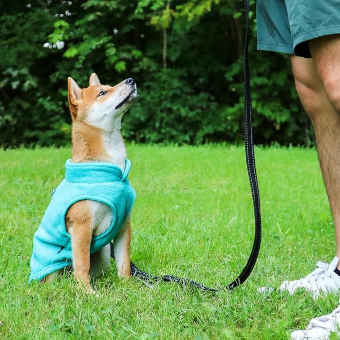 JACKO & CO - Fleece Vest Dog Sweater with Leash Ring - Soft, Warm & Lightweight Pullover Coat for Small & Medium Dogs, Puppies & Cats - Cozy Fall/Winter/Spring Pet Jacket (Turquoise, Medium 6-10lbs)
