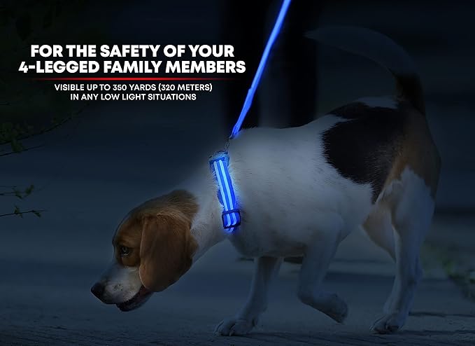 ILLUMISEEN LED Dog Collar USB Rechargeable - Bright & High Visibility Lighted Glow Collar for Pet Night Walking - Weatherproof, in 6 Colors & 6 Sizes (Blue X-Small)