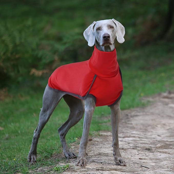 ROZKITCH Dog Winter Coat Soft Pullover Pajamas, Pet Windproof Warm Cold Weather Jacket Vest Cozy Jumpsuit Apparel Outfit Clothes for Xmas Walking Sleep BrightRed 2XL
