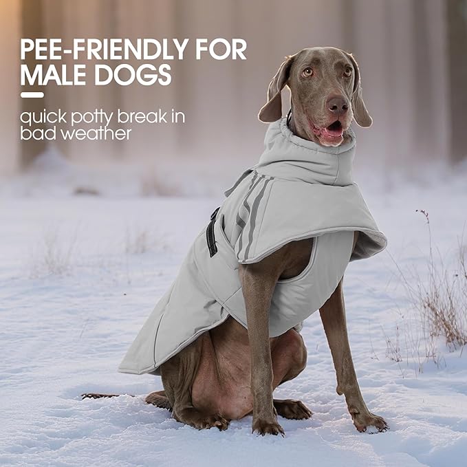 FUAMEY Dog Cold Weather Coats,Dog Winter Jackets for Large Dogs Warm Dogs Coat with Reflective Strips Waterproof Pet Snowsuit Thick Paded Pets Vest for Beagle Corgi Grey L