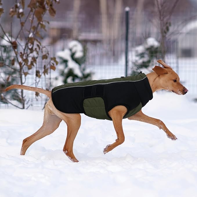 Kuoser Dog Jacket, Dog Coats for Large Dogs Winter Waterproof, Reflective Doggie Vest with Leash Hole, Cold Weather Coats Pet Snow Jacket for Labrador Beagle, Green XL