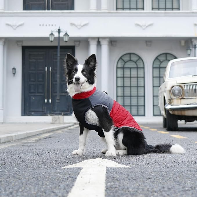 Warm Fleece Dog Coats for Medium Dogs,D-Rings Waterproof Puppy Jacket for Cold Winter,Red L