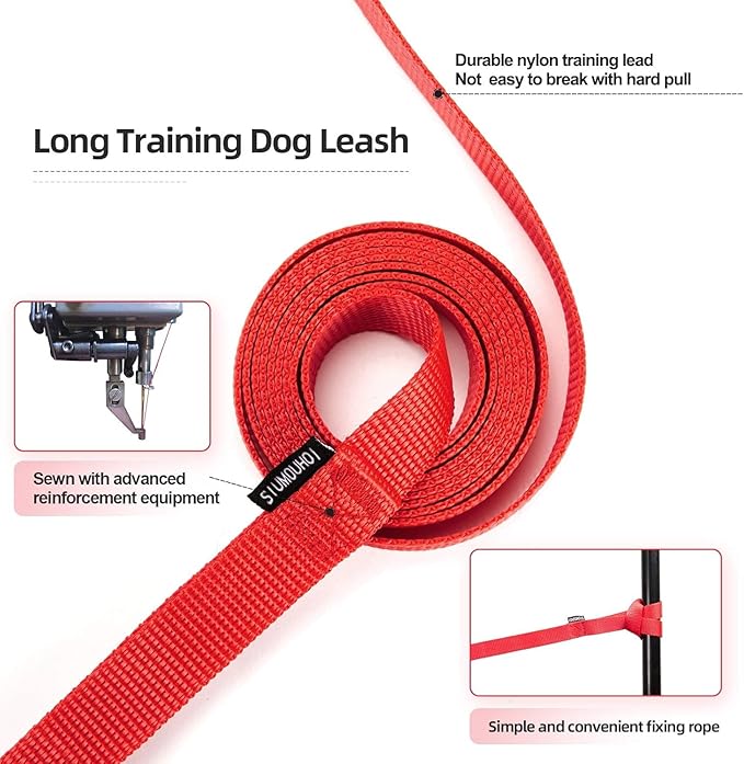 Dog/Puppy Obedience Recall Training Agility Lead - 15ft 20ft 30ft 40ft 50ft Training Leash - Great for Play, Camping, or Backyard (Rainbow, 20 Feet)