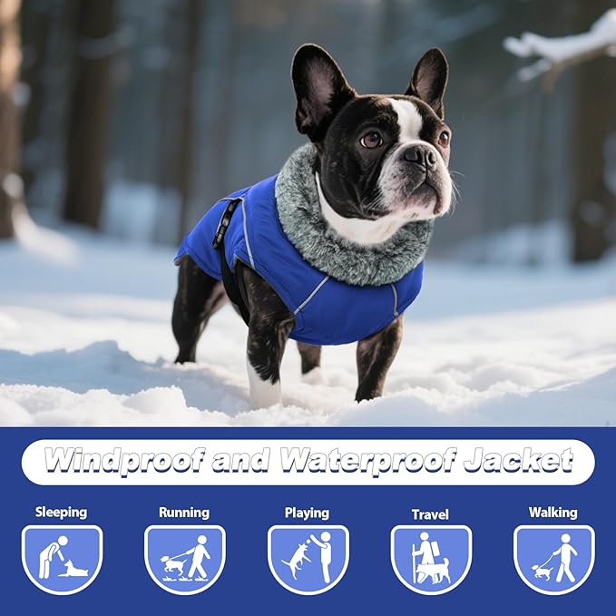 DENTRUN Dog Winter Coat - Windproof Reflective Jacket, Plush Turtleneck & Adjustable Belt, Water Repellent Fleece Lined Cold Weather Vest for Corgi Bulldog, Blue, L