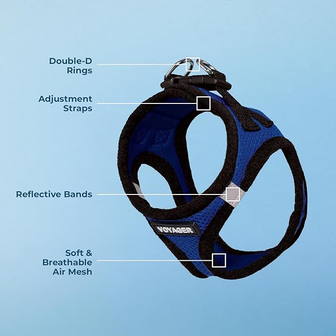 Best Pet Supplies Voyager Step-in Air Harness - All Weather Mesh, Reflective, No Pull Harness for Dogs, Cats - Secure with Hook & Loop Fastener, Buckle, Double D-Rings - Royal Blue/Black Trim, XXXS