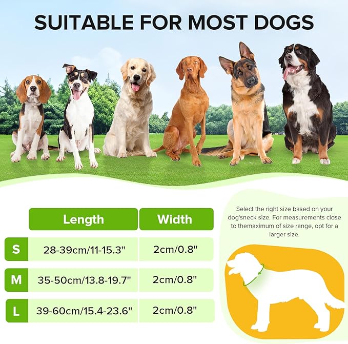 Light Up Dog Collar, Adjustable USB Rechargeable Glow in Dark Dog Collar ，Waterproof Dog Collars for Medium Dogs (Green, Medium)