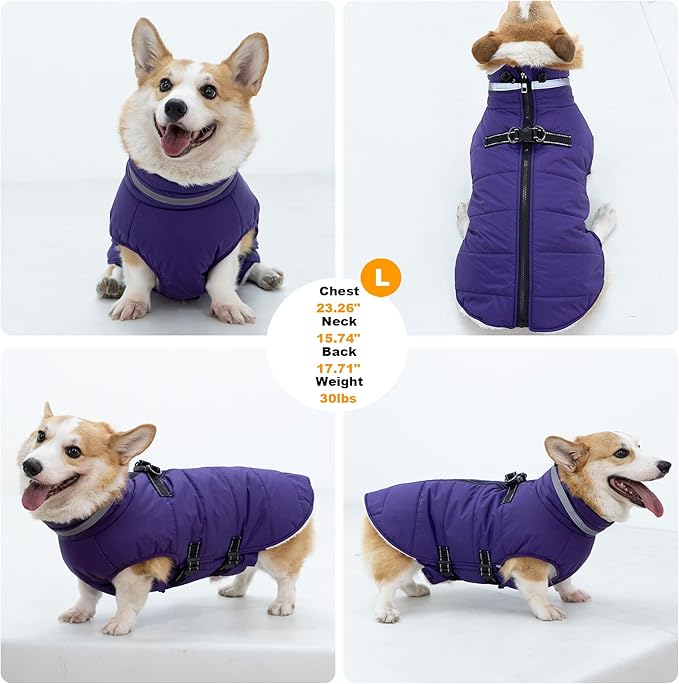 Large Dog Coat with Harness Built-in, Waterproof Reflective Fleece Lined - Warm Windproof Winter Jacket with Back Zipper, Cold Weather Snow Dog Coats - Purple - 3XL