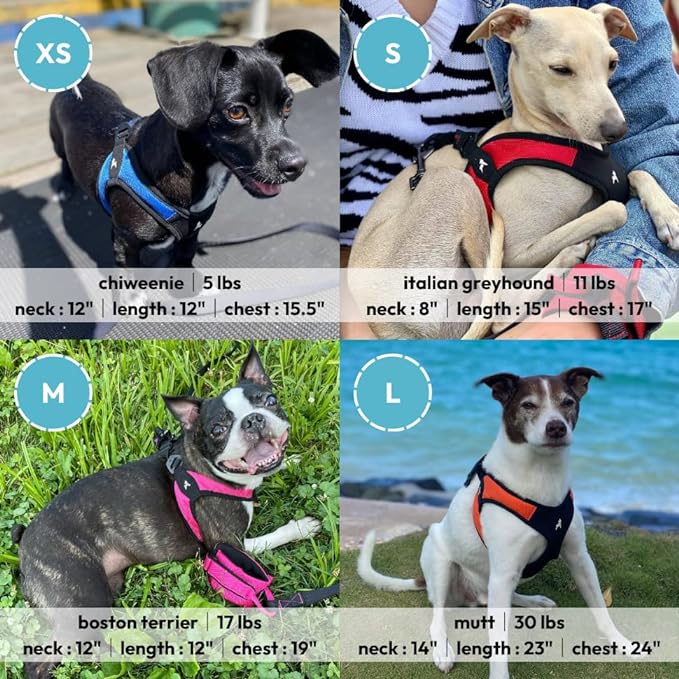 Gooby Escape Free Easy Fit Harness - Red, Large - No Pull Step-in Patented Small Dog Harness with Quick Release Buckle - Perfect On The Go No Pull Harness for Small Dogs or Medium Dog Harness