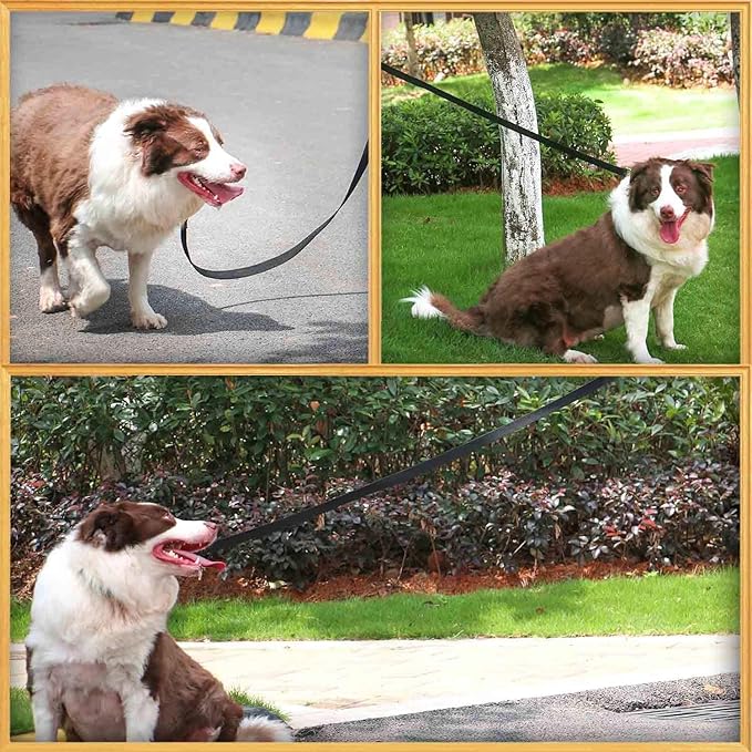 AMAGOOD 6 FT Puppy/Dog Leash, Strong and Durable Traditional Style Leash with Easy to Use Collar Hook, Great for Small, Medium and Large Dogs (3/4 in x 6 ft, Black and Purple (2-Pack))