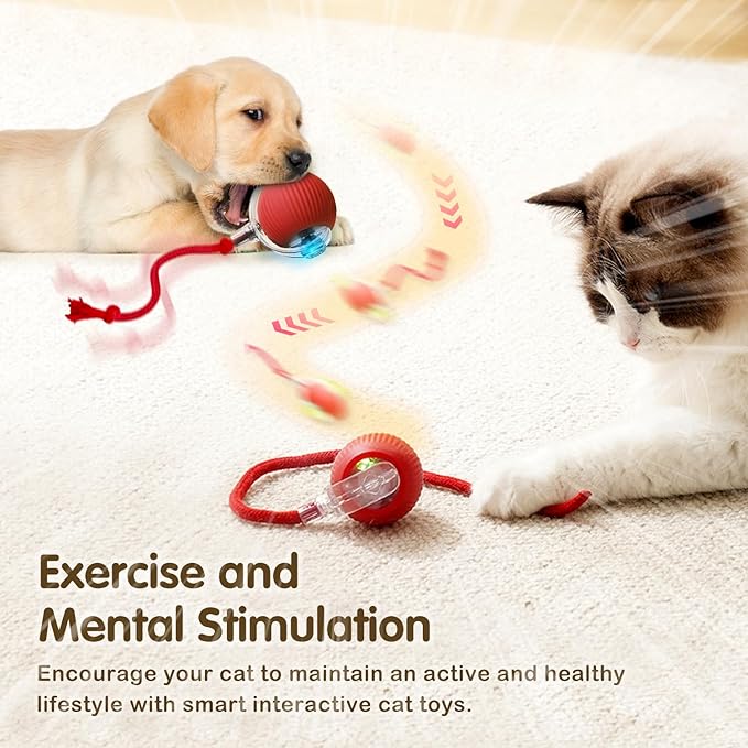Interactive Cat Toy Ball, 2025 Upgraded Cat Toys for Bored Indoor Adult Cats, Self Rolling Interactive Dog Ball Toy, Automatic Smart Pet Toy Ball Kitten Toys (Gray)