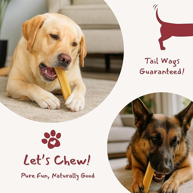 Majestic Pet Himalayan All-Natural Yak Cheese Dog Chews Made with 100% Cows Milk- Long Lasting Dental Chew for Dogs - Healthy Pet Treats (Dental & Bone Support, Regular, 1 Pack)