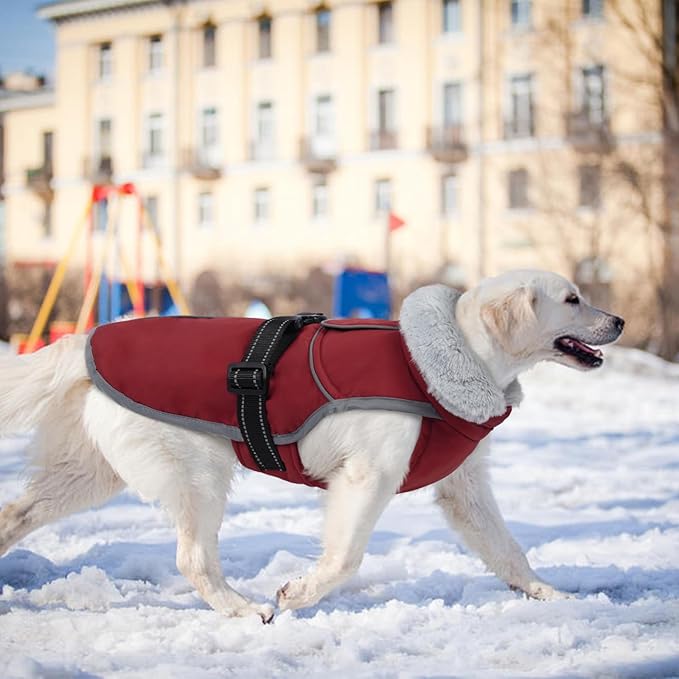 Lelepet Warm Dog Winter Coat Reflective Dog Jacket Fleece Vest Waterproof Windproof Cold Weather Coats with Adjustable Buckle Plush Turtleneck Pet Snowsuit for Small Medium Large Dogs,Bichon,M