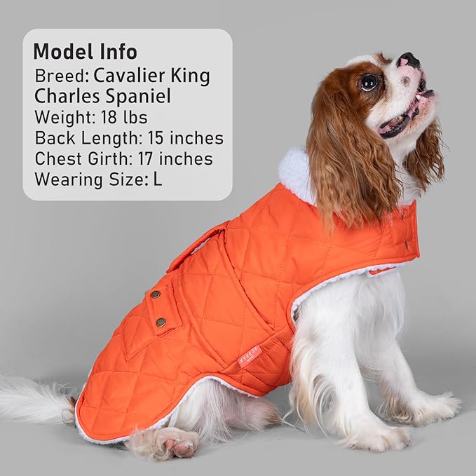 KYEESE Dog Coat Waterproof Dogs Jacket with Fleece Lined Thick Cat Clothes with Pocket Warm Pet Winter Puffer Coat with Leash Hole Soft Pet Sweater for Cold Weather Windproof Dog Coats for Small Dogs