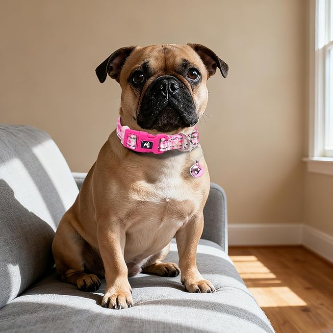 Pink Puppy Collar with Bell - Reflective Adjustable Nylon Kitten-Safe Collar for Small Dogs & Cats, Soft Flower Pattern Design for Teacup Chihuahua, Pomeranian, and Kittens (X-Small, Flower)