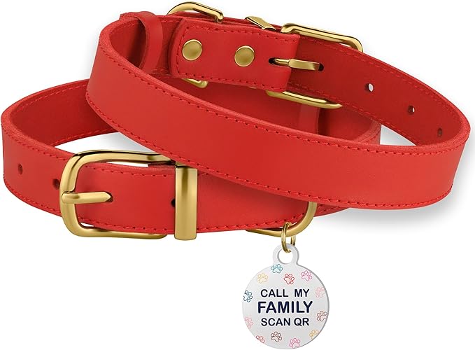 BRONZEDOG Leather Dog Collar with Metal Buckle Durable Basic Pet Collars for Small Medium Large Dogs (13-16 Inch (Pack of 1), Red & Gold Buckle)