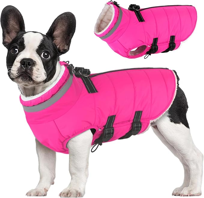 Small Dog Coat with Harness Built-in, Waterproof Reflective Fleece Lined - Warm Windproof Winter Jacket with Back Zipper, Cold Weather Snow Dog Coats - Pink - S