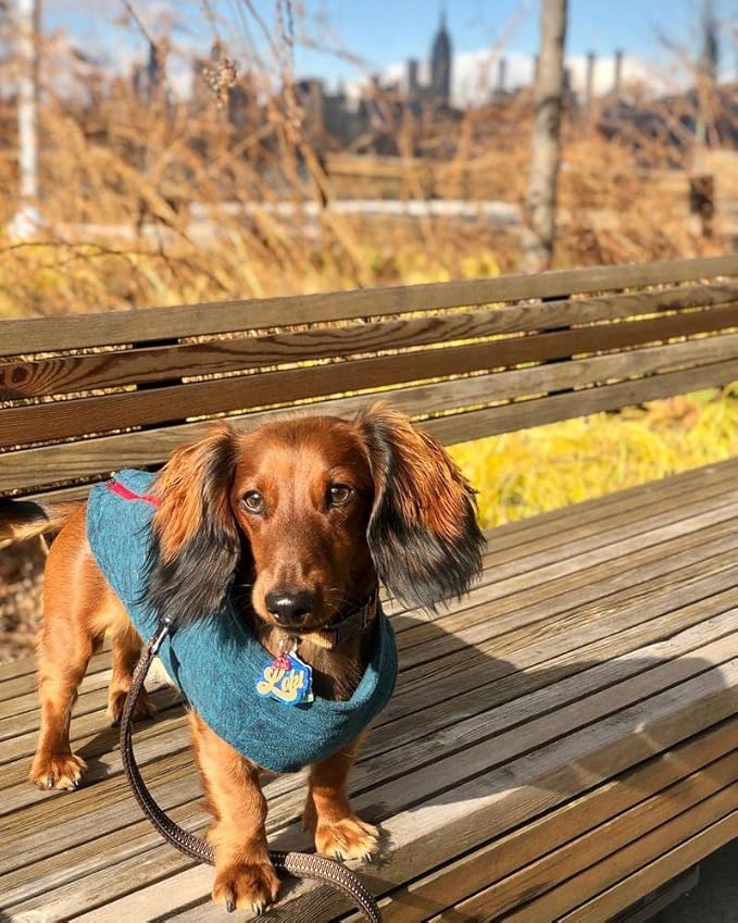 Gooby Zip Up Fleece Dog Sweater - Gray Wash, Medium - Warm Pullover Fleece Step-in Dog Jacket with Dual D Ring Leash - Winter Small Dog Sweater - Dog Clothes for Small Dogs Boy and Medium Dogs