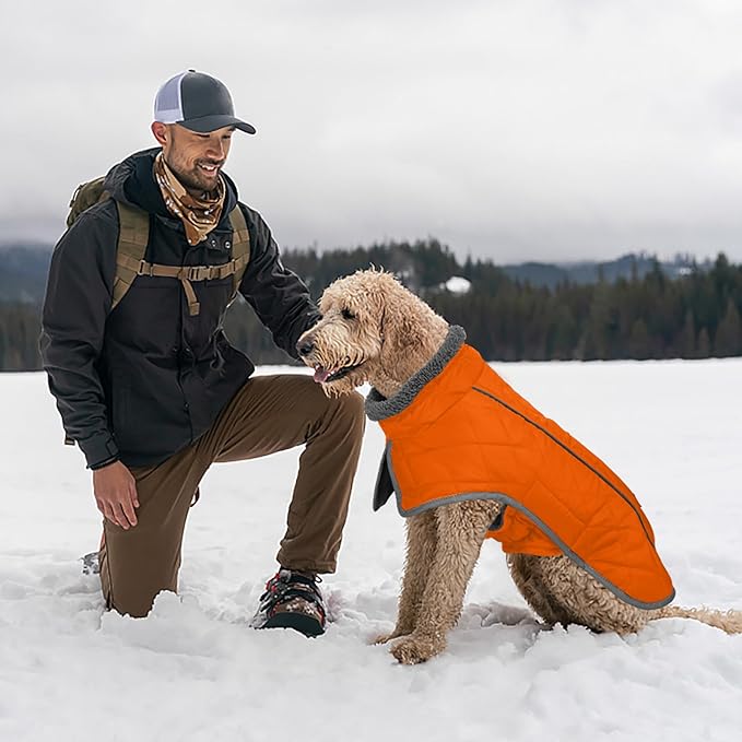 Fragralley Dog Coat Medium, Waterproof Dog Jacket with Warm Fleece Lining, Adjustable Reflective Dogs Winter Coat, Turtleneck Pet Coats for Cold Weather (Orange M)