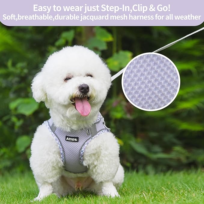 AIITLE XXS Dog Harness & Leash Set - Breathable Reflective No-Choke Small Dog Harness for Teacup Puppies, Indoor/Outdoor Use - Boston Terrier, Maltese, Chihuahua (Purple, XXS)
