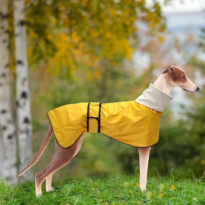 Morezi Dog Raincoat with Reflective Bar, Rain/Water Resistant, Adjustable Vest - Dog Raincoats for Greyhounds, Lurchers and Whippets - Yellow - Large