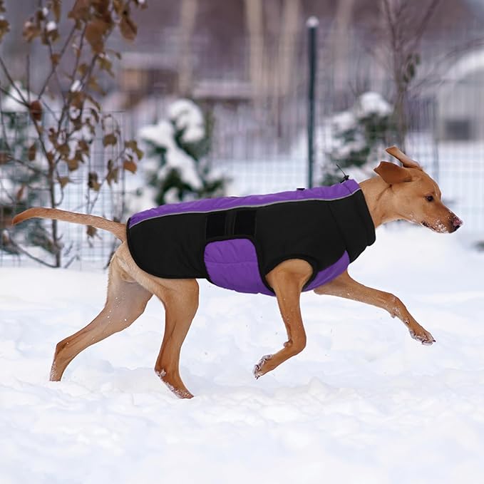 Kuoser Dog Jackets for Small Dogs, Warm Dog Coat with Harness Built in, Puppy Winter Jacket Pet Clothes for Cold Weather, Reflective Waterproof Doggie Winter Vest for Pug Dachshund, Purple S