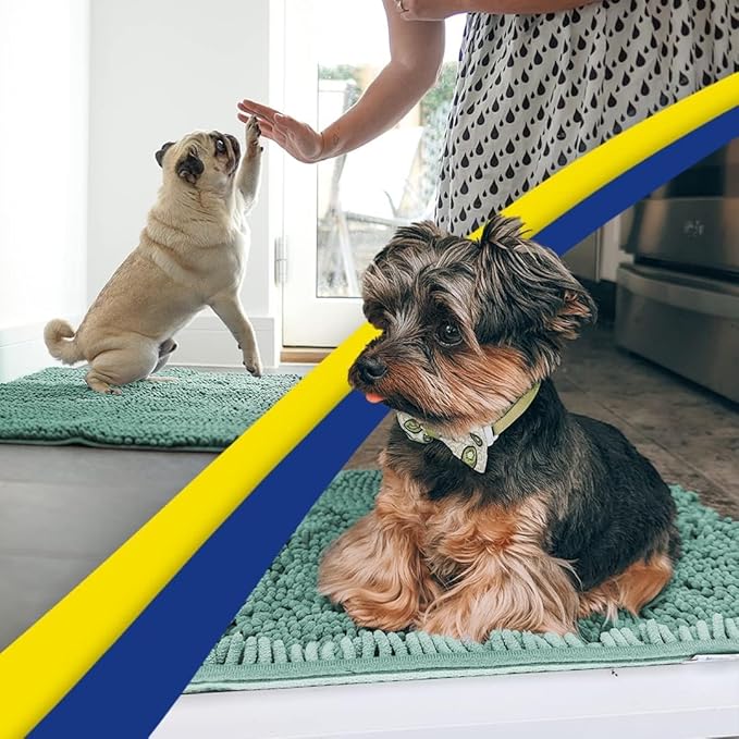 Muddy Mat® AS-SEEN-ON-TV Highly Absorbent Microfiber Door Mat and Pet Rug, Non Slip Thick Washable Area and Bath Mat Soft Chenille for Kitchen Bedroom Indoor and Outdoor - Seafoam Green 24" x 96"