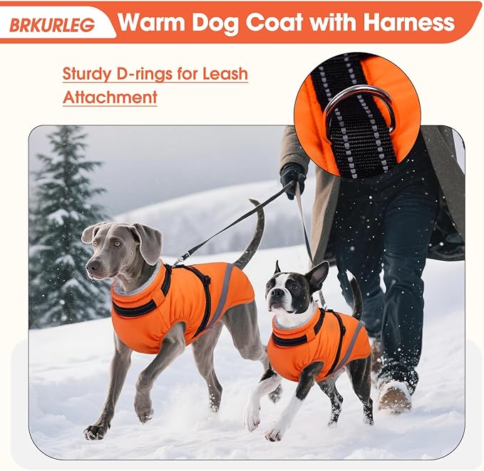 BRKURLEG Dog Winter Jackets for Small Dogs, Dog Coat with Harness Built in, Dogs Snowsuits with Zipper, Waterproof Windproof Pet Puffer Jacket Fleece Vest for Shih Tzu, Maltese, Orange S