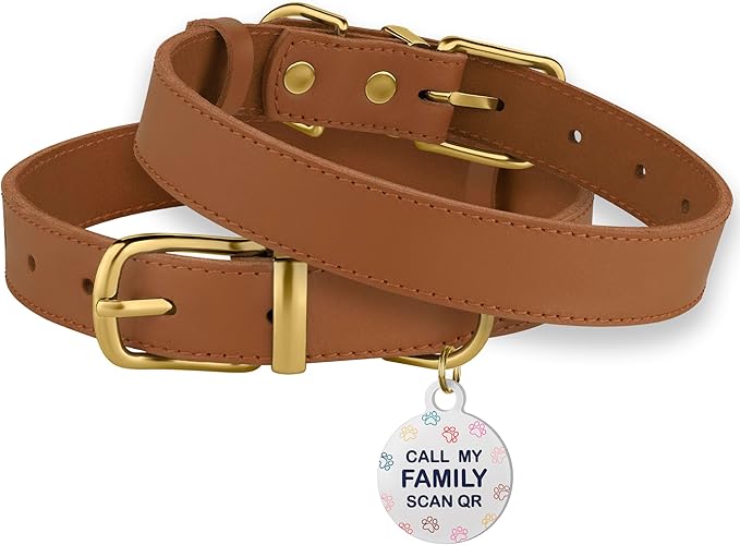 BRONZEDOG Leather Dog Collar with Metal Buckle Durable Basic Pet Collars for Small Medium Large Dogs (14-17 Inch (Pack of 1), Light Brown & Gold Buckle)