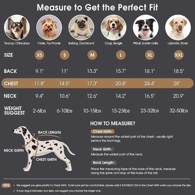 Queenmore Puppy Sweaters for Small Dogs,Christmas Dog Sweater XS,Heavy Cable Knit Turtleneck Warm Dog Coat for Male/Female Doggie，Pet Winter Clothes for All Breed/Sizes - Grey,XS